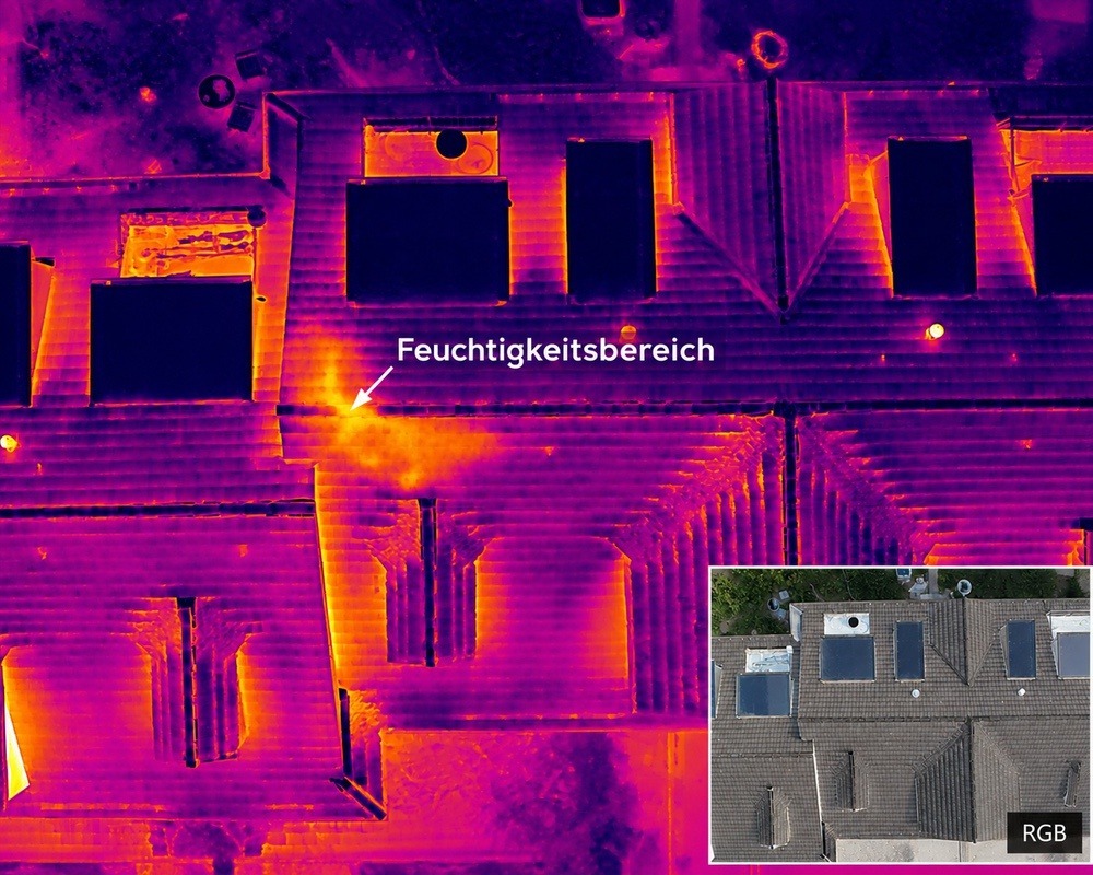 Thermografieaufnahme mit markiertem Feuchtigkeitsbereich